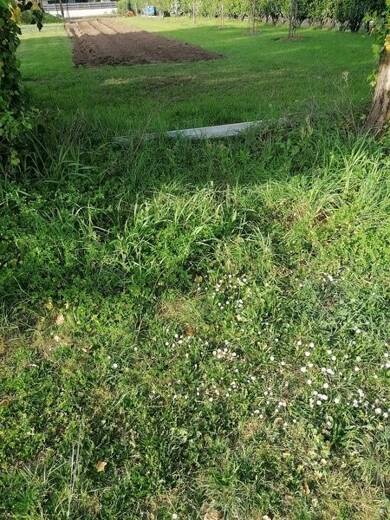 Terrain constructible à vendre 395 000 € 640 m² de terrain Crach 56950