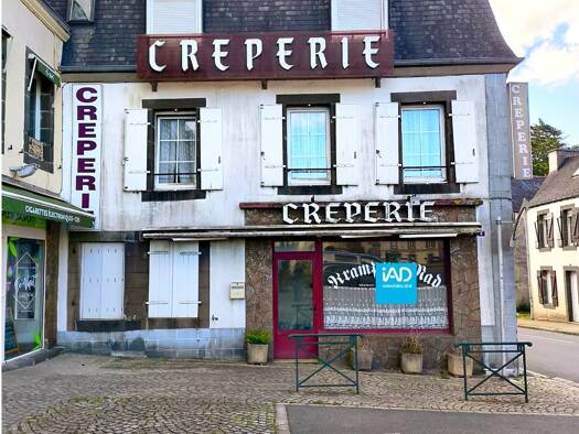 Maison à vendre 208 300 € 17 pièces 16 chambres 297 m² 277 m² de terrain Pleyben 29190