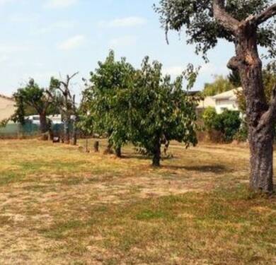 Terrain constructible à vendre 100 000 € 1 040 m² de terrain Béguey 33410