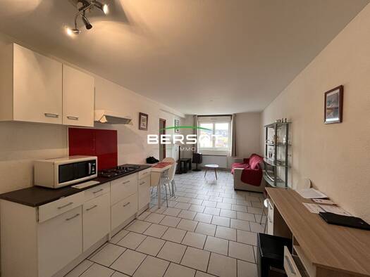 Appartement à louer 600 € 2 pièces 1 chambre 42 m² RDC Saône 25660