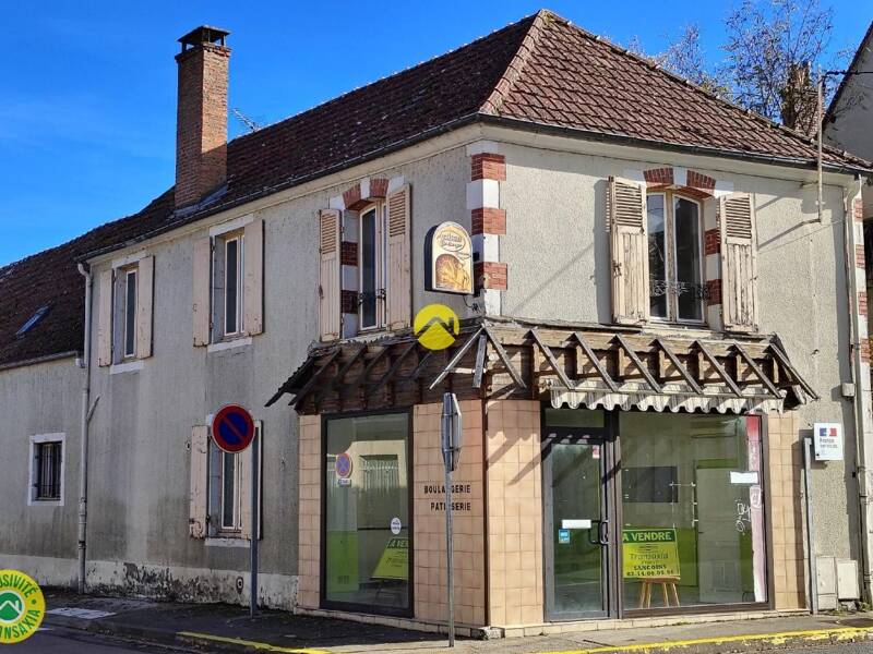 Maison à vendre, 190m², SANCOINS