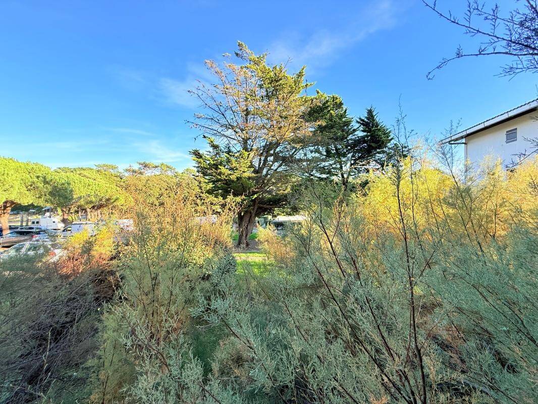 Maison à vendre, 52m², SEIGNOSSE