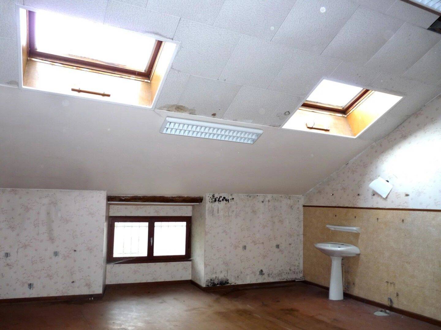 Maison à vendre, 201m², SAINT GEOIRE EN VALDAINE