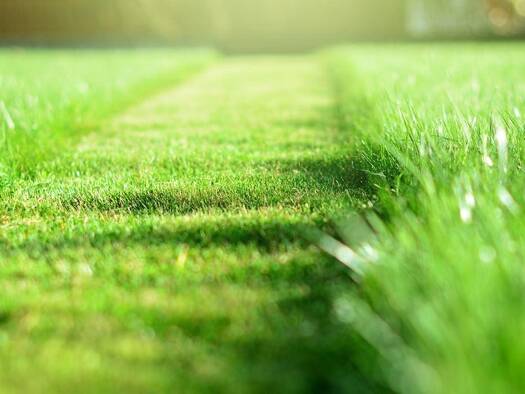 Terrain constructible à vendre 39 000 € 319 m² de terrain Le Faou 29590