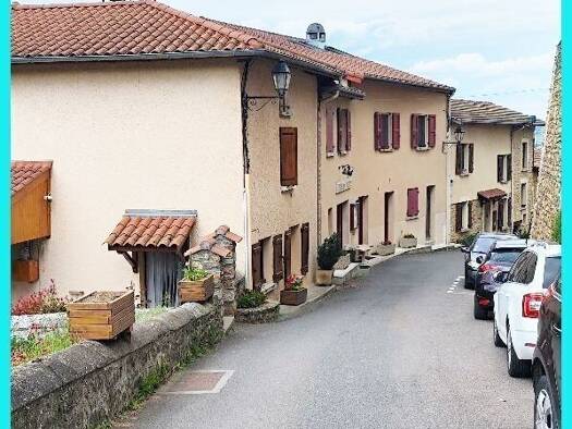 Maison à vendre 378 000 € 1 chambre 413 m² Chatelus 42140