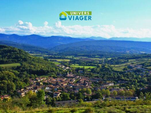 Maison en viager 33 000 € 7 pièces 5 chambres 162 m² Chalabre 11230