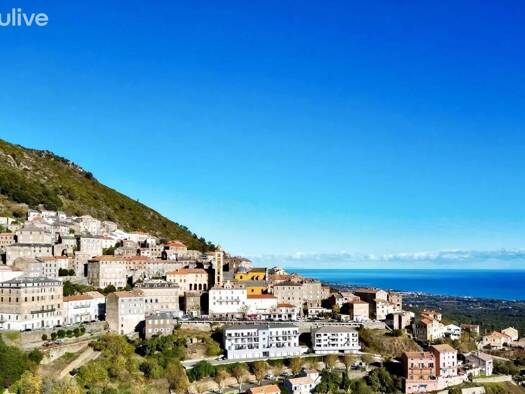 Restaurant à vendre 158 000 € 145 m² d'espace de restauration Cervione 20221