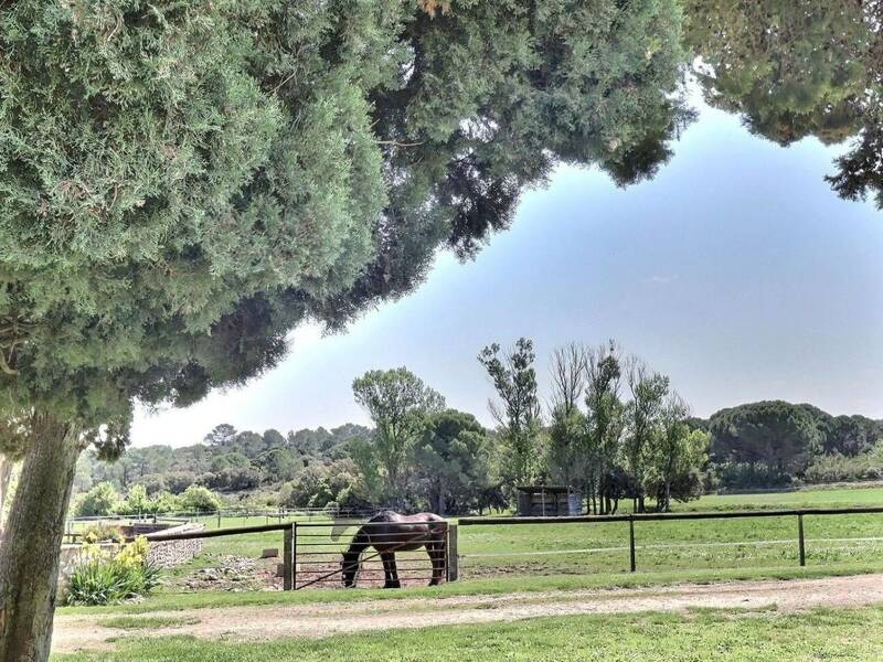 Maison à vendre, 168m², NIMES