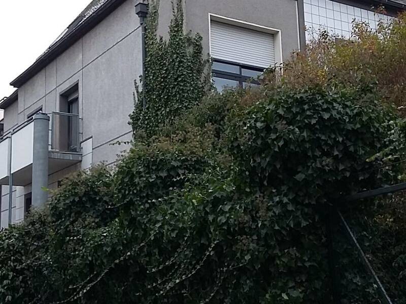 Maison à louer, 113m², STRASBOURG