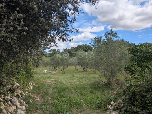 Terrain constructible à vendre 145 000 € 2 000 m² de terrain Sauve 30610