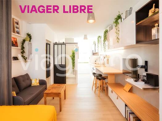 Appartement en viager libre Bouquet 49 600 € 1 pièce 25 m² RDC/3 Berriat-Ampere Grenoble 38000