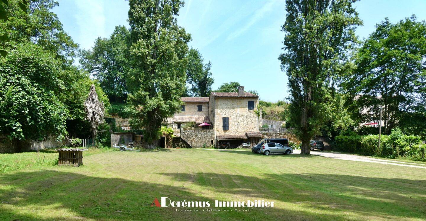 Maison à vendre, 320m², LANGOIRAN