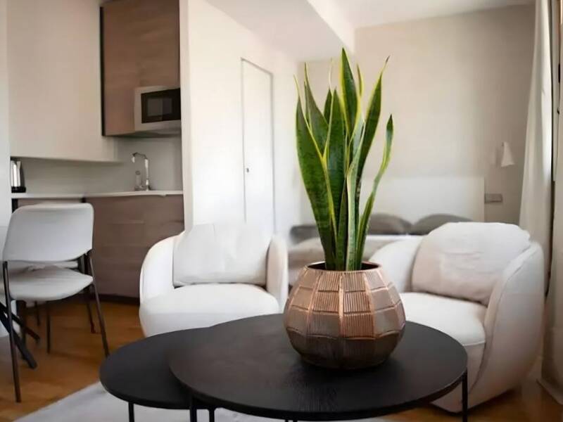 Maison à louer, 21m², RENNES