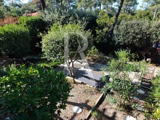 Villa à vendre 598 000 € 3 pièces 2 chambres 60 m² 300 m² de terrain Pyla-sur-Mer La Teste-de-Buch 33115