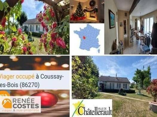 Maison en viager occupé Bouquet 30 225 € 5 pièces 3 chambres 101 m² 3 620 m² de terrain Antoigne Châtellerault 86100