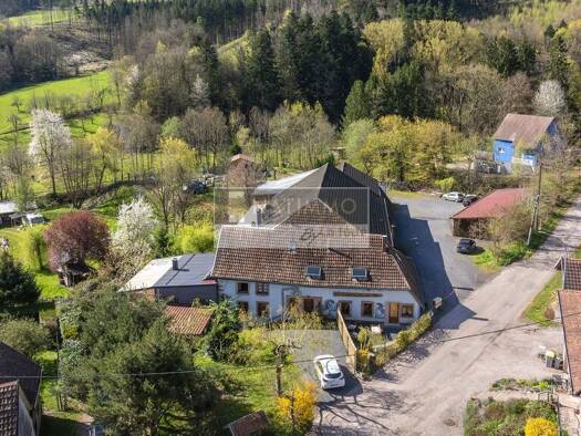 Maison à vendre 1 470 000 € 12 pièces 10 chambres 625 m² 18 526 m² de terrain Steige 67220