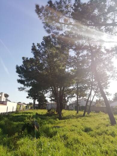 Terrain constructible à vendre 200 000 € 840 m² de terrain Avenue Mitterand Ouest Olonne-sur-Mer 85340