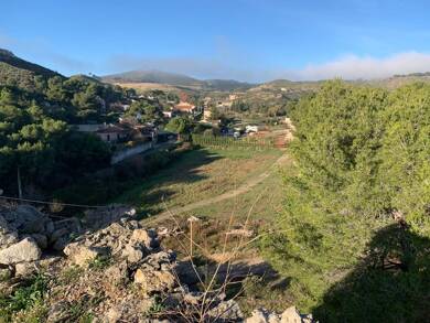 Terrain à vendre 120 000 € 4 436 m² de terrain Les Riaux Marseille 13016