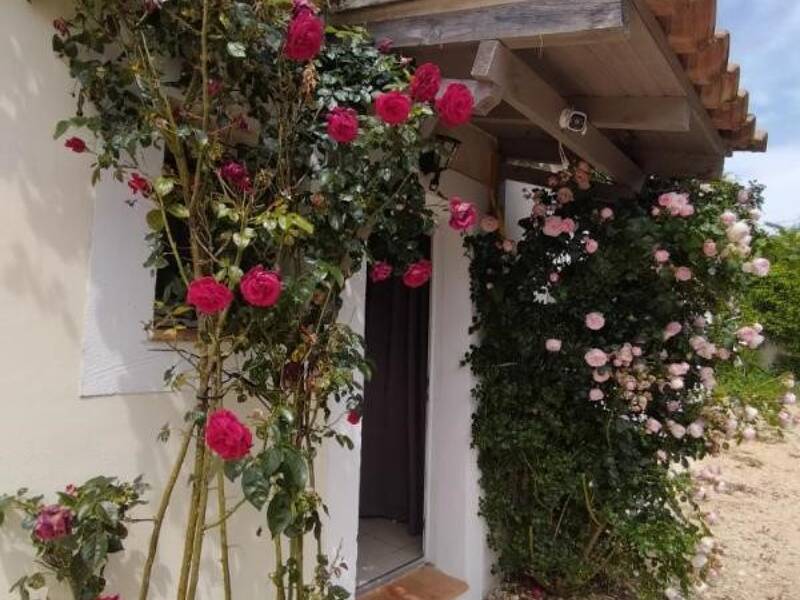 Maison à louer, 120m², LA CAPELLE ET MASMOLENE