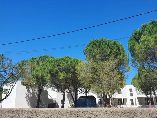 Appartement à louer - Première occupation 815 € 2 pièces 1 chambre 48,5 m² RDC/1 Aiguelongue Montpellier 34090