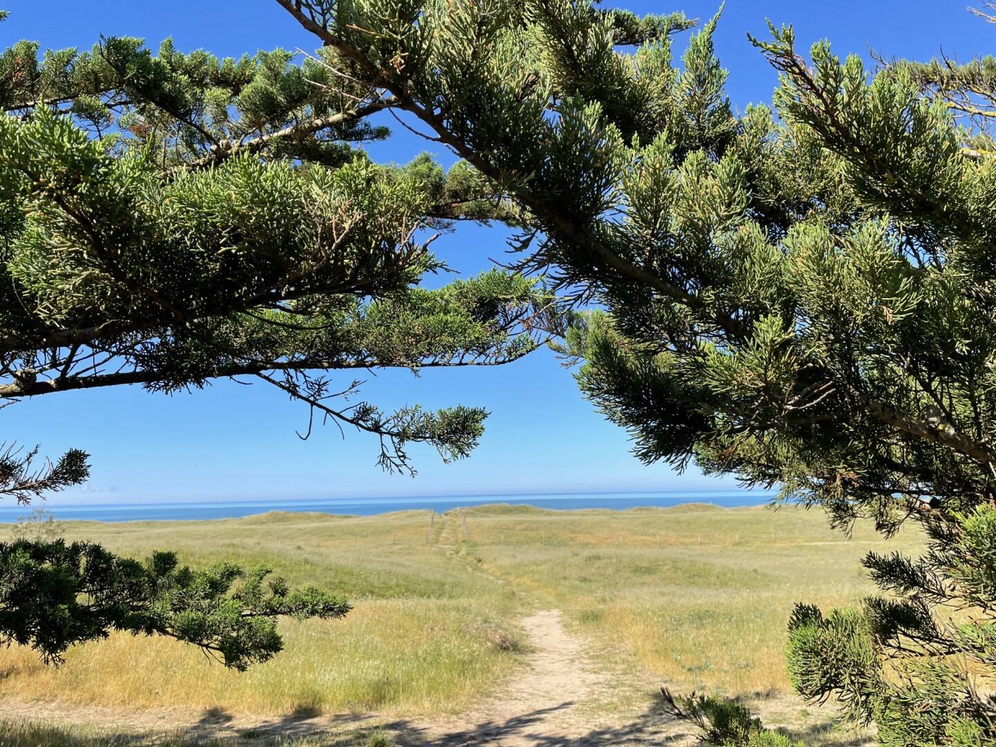 Maison à vendre, 100m², NOIRMOUTIER EN L'ILE