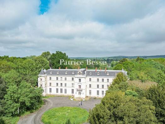 Château à vendre 4 200 000 € 20 pièces 20 chambres 1 700 m² 46 631 m² de terrain Mennecy 91540