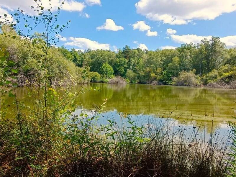 Maison à vendre, 0m², LAMOTTE BEUVRON