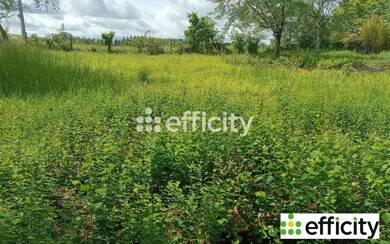 Terrain constructible à vendre 115 000 € 1 285 m² de terrain Saint Liguaire Niort 79000