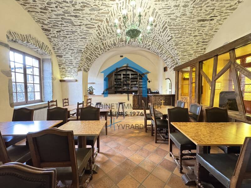 Maison à vendre, 384m², SAINTE CROIX EN JAREZ