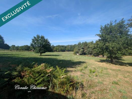 Terrain constructible à vendre 53 000 € 13 483 m² de terrain Beaulieu 15270