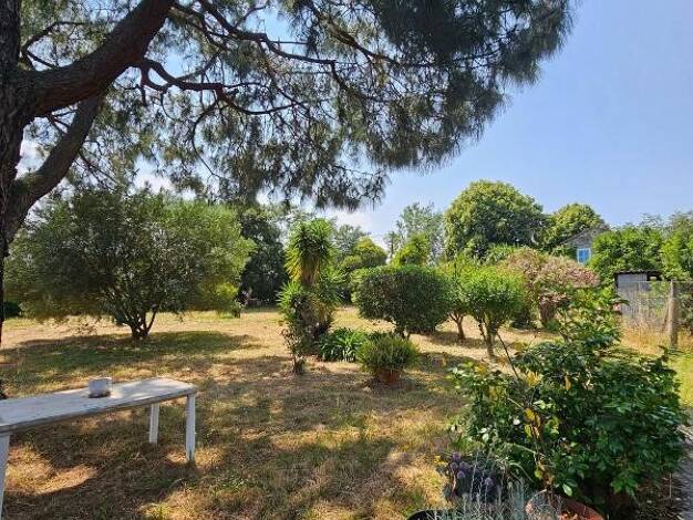 Maison de plain-pied à vendre 263 200 € 4 pièces 3 chambres 95,3 m² 2 200 m² de terrain Pancheraccia 20251