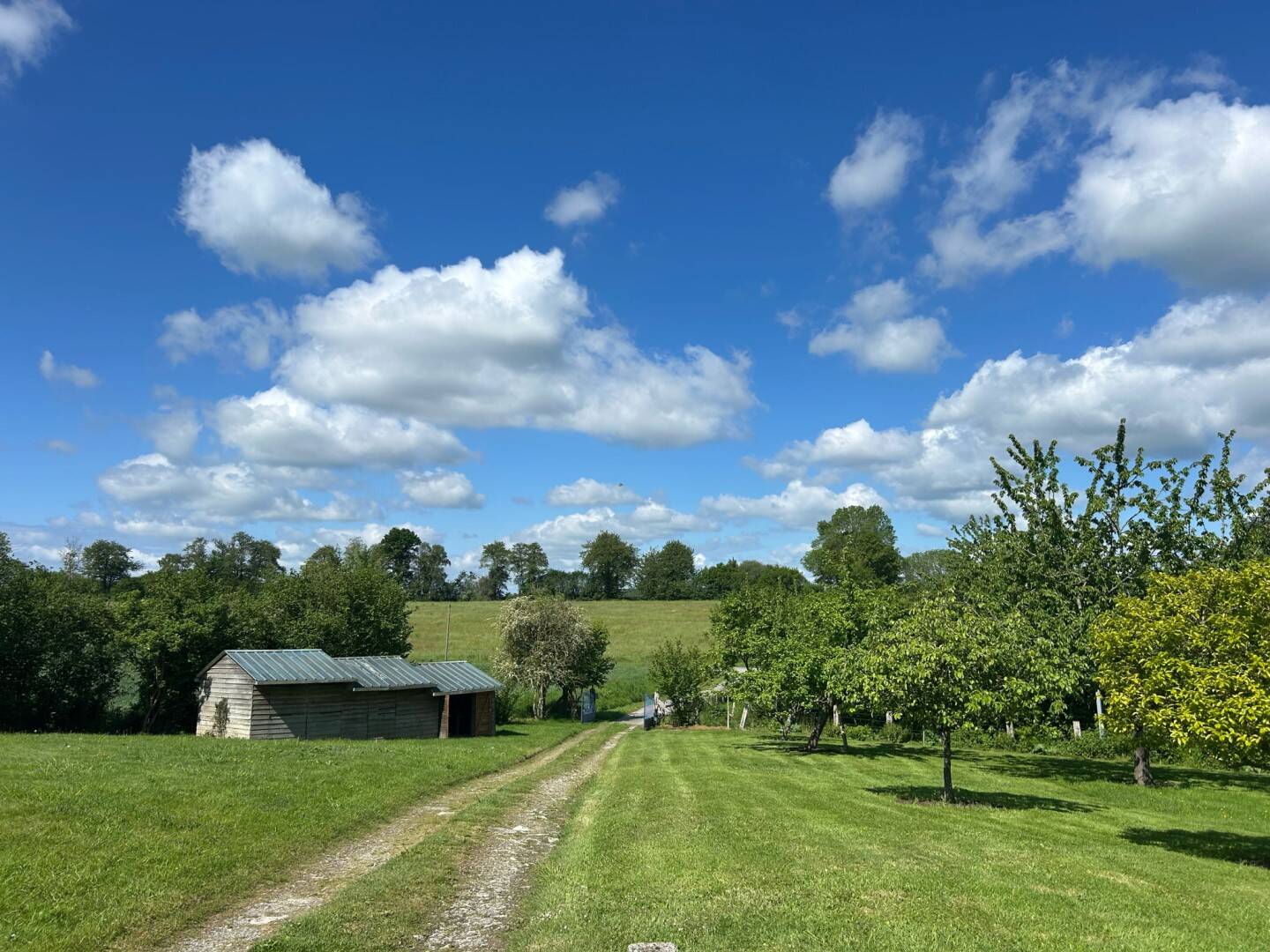 Maison à vendre, 156m², MORTAGNE AU PERCHE