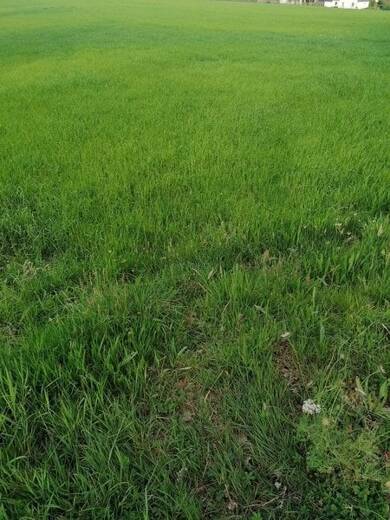 Terrain constructible à vendre 59 000 € 343 m² de terrain Mellac 29300