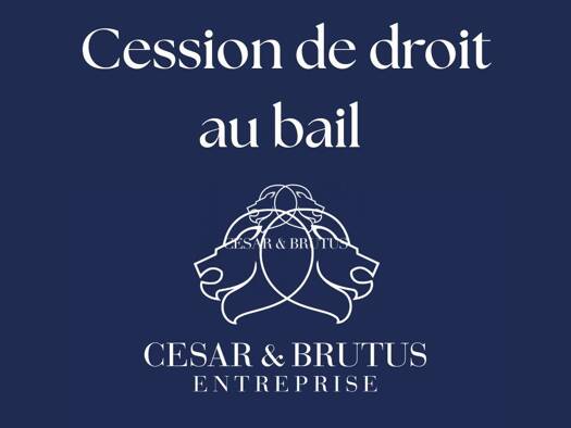 Local commercial avec bail commercial 42 800 € 62 m² de surface de vente Clément Villeurbanne 69100