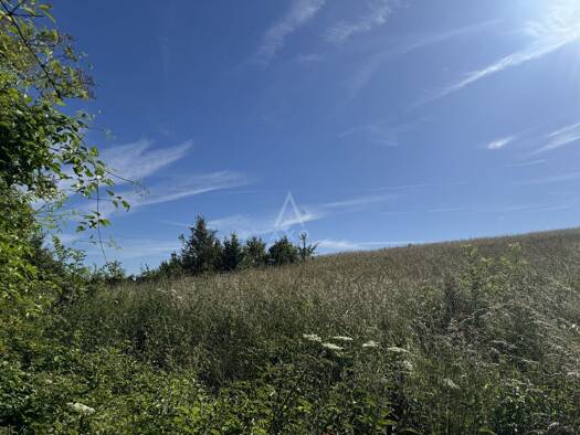 Terrain constructible à vendre 99 000 € 5 628 m² de terrain Douchy-Montcorbon 45220