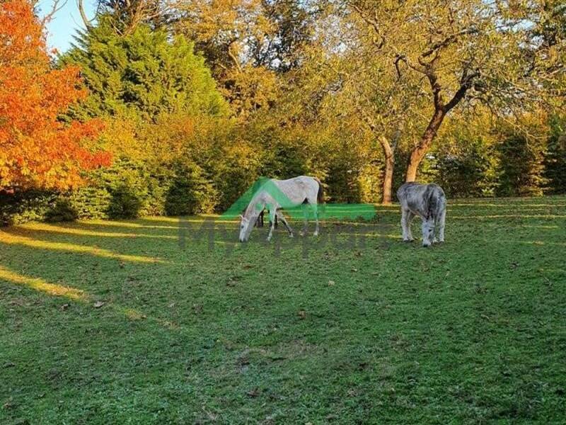 Maison à louer, 22m², BEIGNON