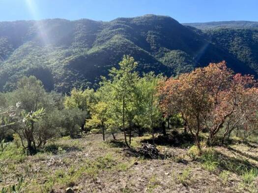 Appartement à vendre 147 000 € 1 pièce 1 567 m² Pierrefeu 06910