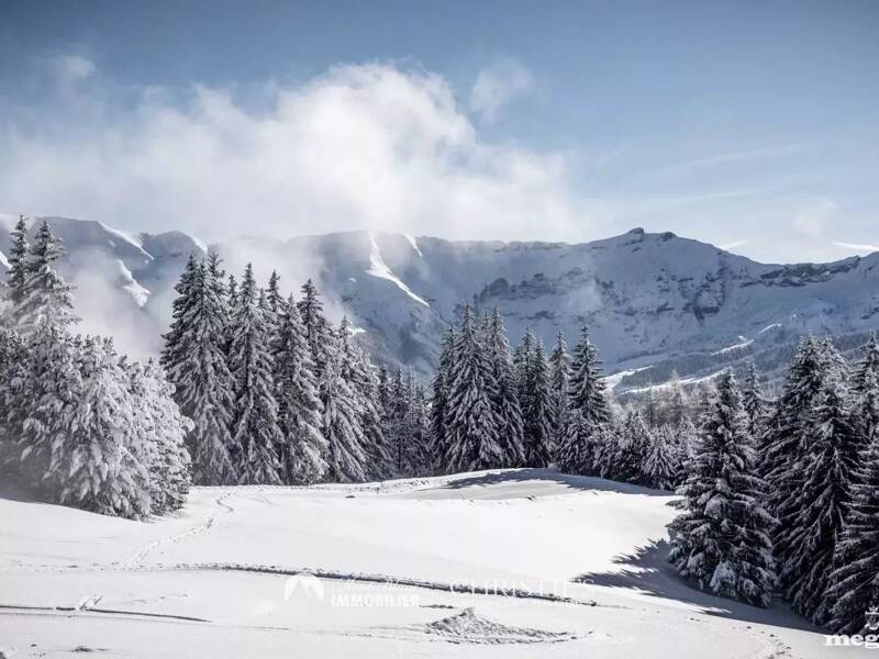 Maison à vendre, 41m², MEGEVE