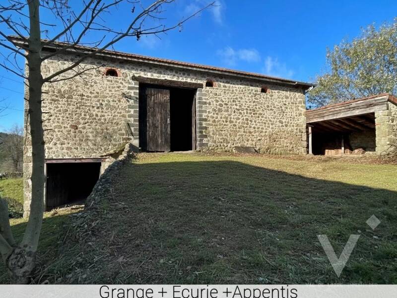 Maison à vendre, 466m², MONISTROL SUR LOIRE