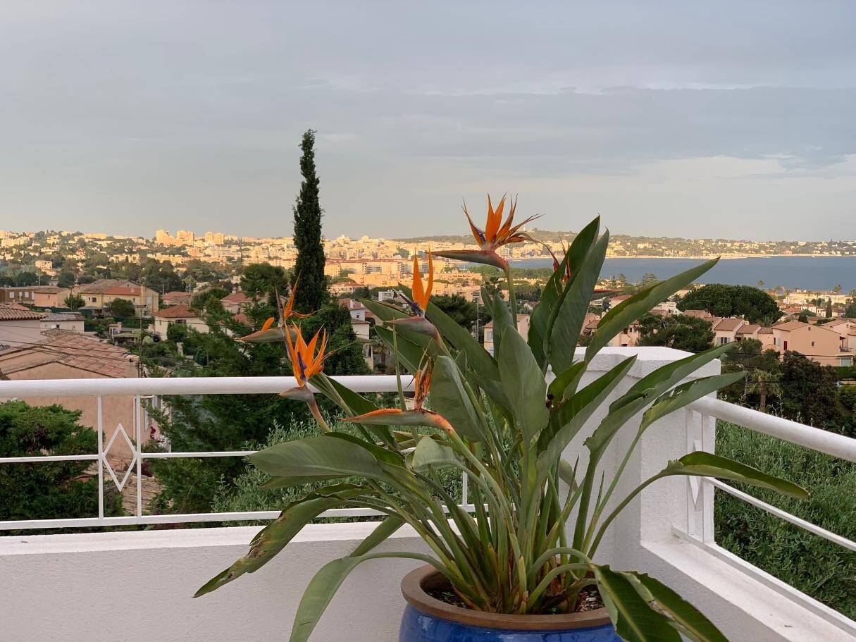 Maison à vendre, 175m², CANNES