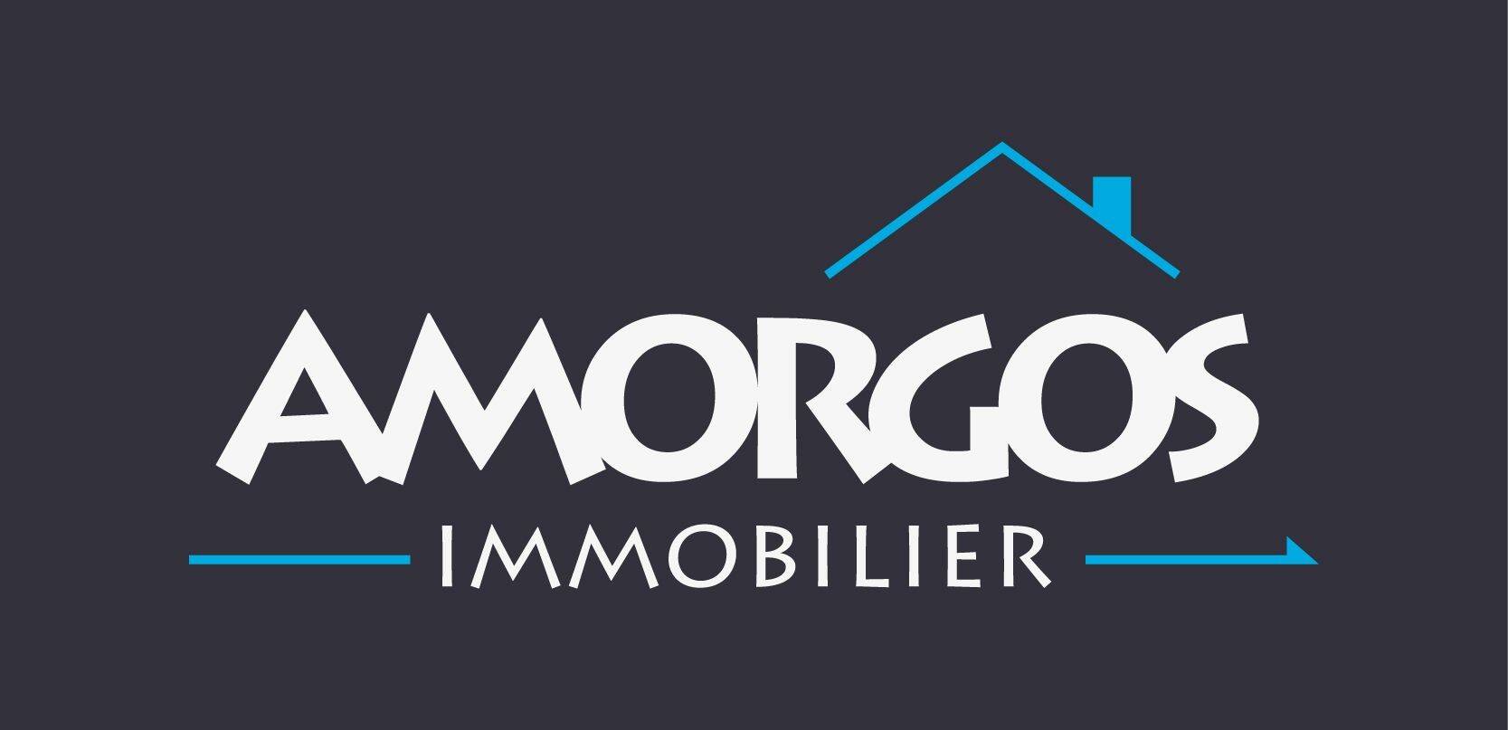 AMORGOS IMMOBILIER