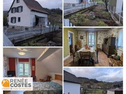 Maison en viager occupé Bouquet 81 850 € 4 pièces 2 chambres 105 m² 2 700 m² de terrain Stosswihr 68140