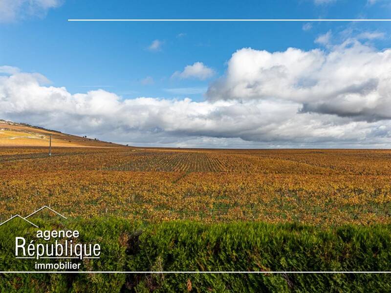 Maison à vendre, 29m², NUITS SAINT GEORGES