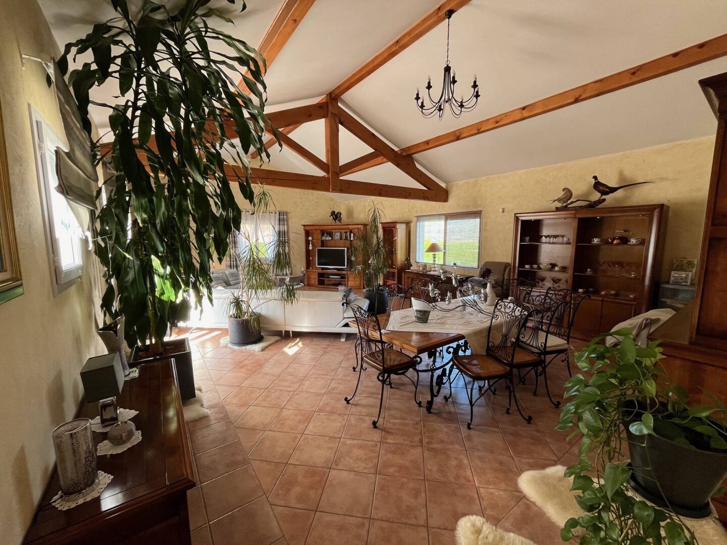 Maison à vendre, 250m², SAINT DIDIER SUR BEAUJEU
