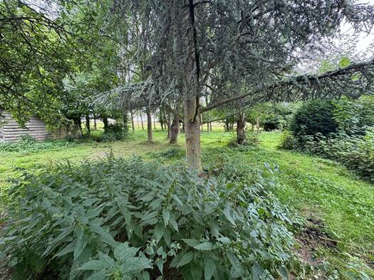 Terrain à vendre 60 000 € 4 120 m² de terrain Berlencourt-le-Cauroy 62810