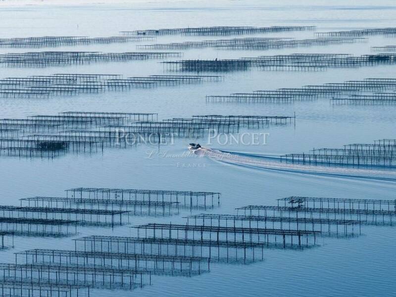 Maison à vendre, 2000m², MONTPELLIER