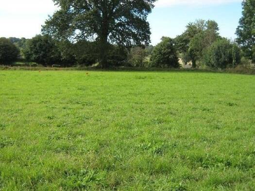 Terrain constructible à vendre 59 000 € 350 m² de terrain Bretteville-sur-Laize 14680