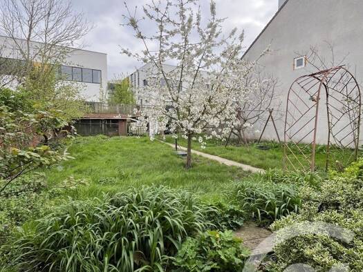 Maison à louer 1 600 € 3 pièces 2 chambres 70 m² 500 m² de terrain Coeuilly-Village Parisien-Jules Vallès Champigny-sur-Marne 94500