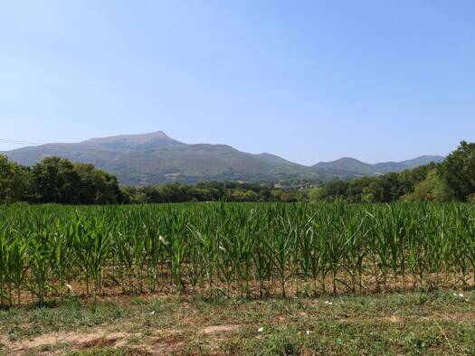 Terrain à vendre 470 000 € 1 003 m² de terrain Ascain 64310