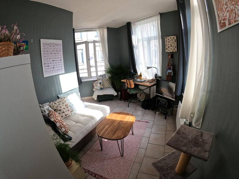 Maison à louer, 35m², LILLE